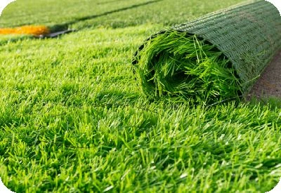 Artificial Grass / Flowers